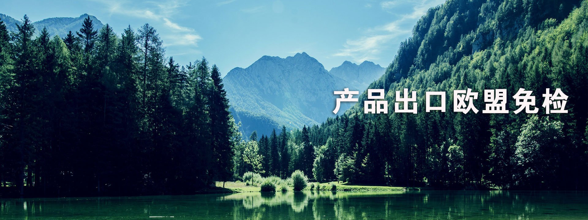 百裕校園時代